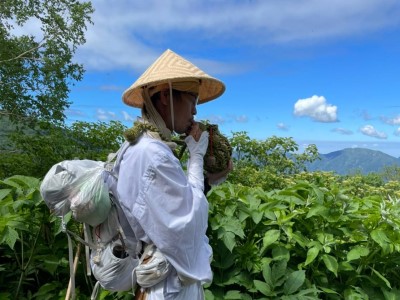 白山登拝行