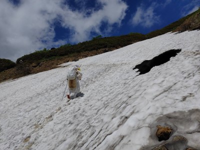 白山登拝行